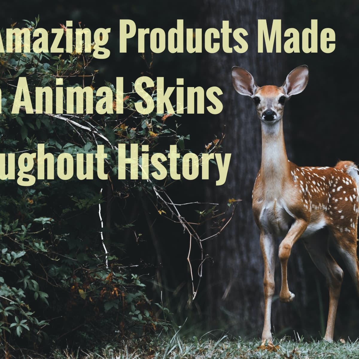 5 Amazing Products Made From Animal Skins Throughout History - Owlcation