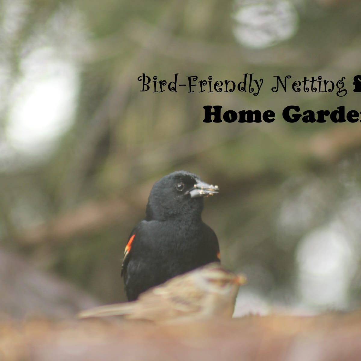 Plant Protection - Bird Netting & Weed Mats - Bunnings Australia