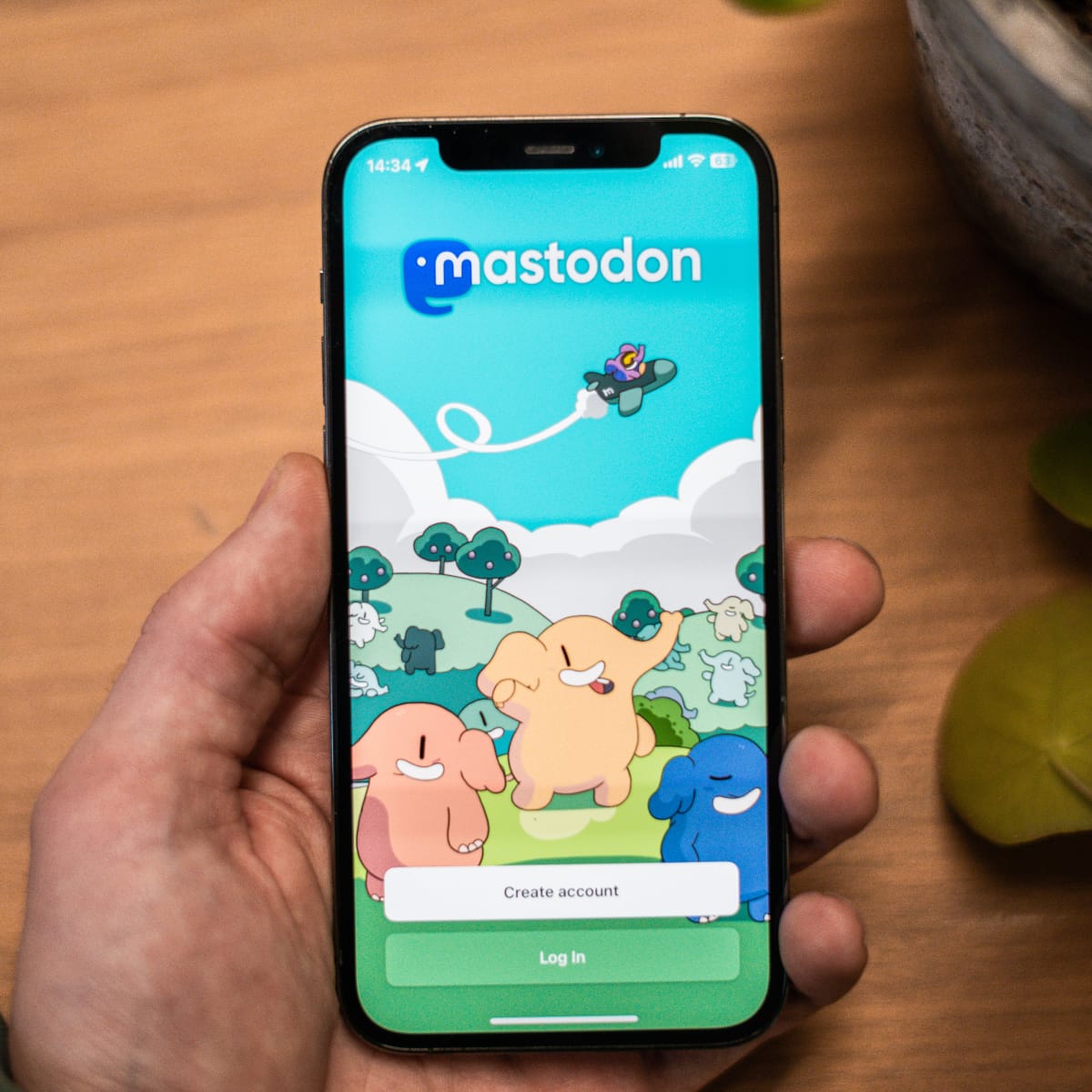 A Complete Guide to Mastodon for Beginners - TurboFuture