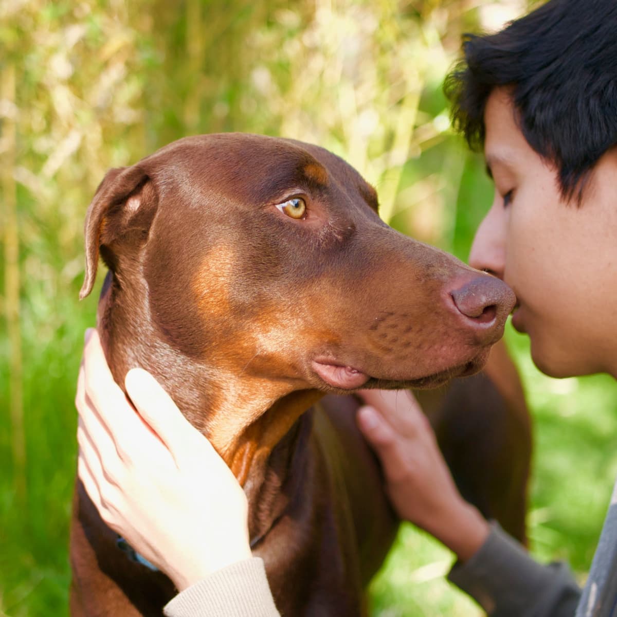 are puppies affectionate