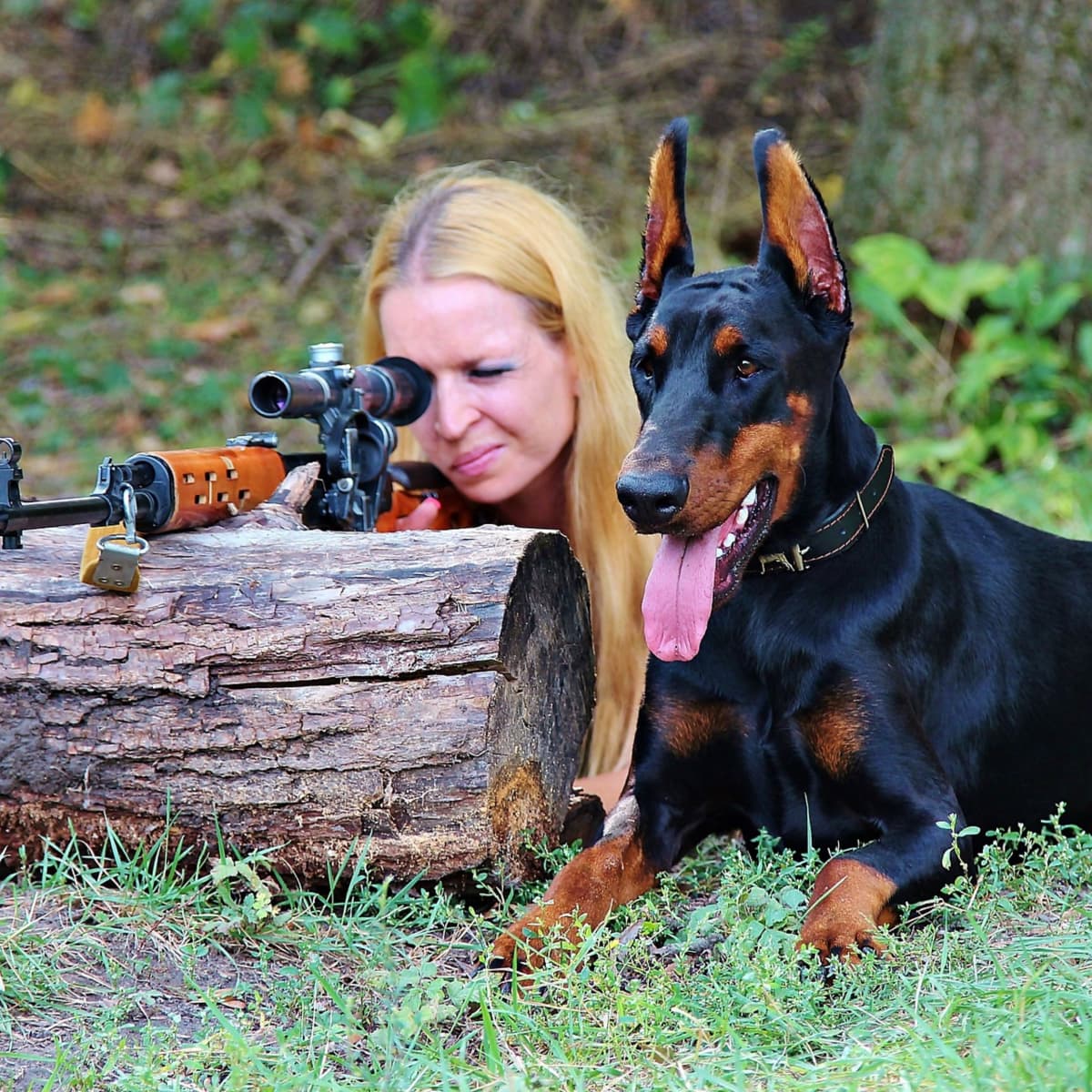 funny pictures of dogs with guns