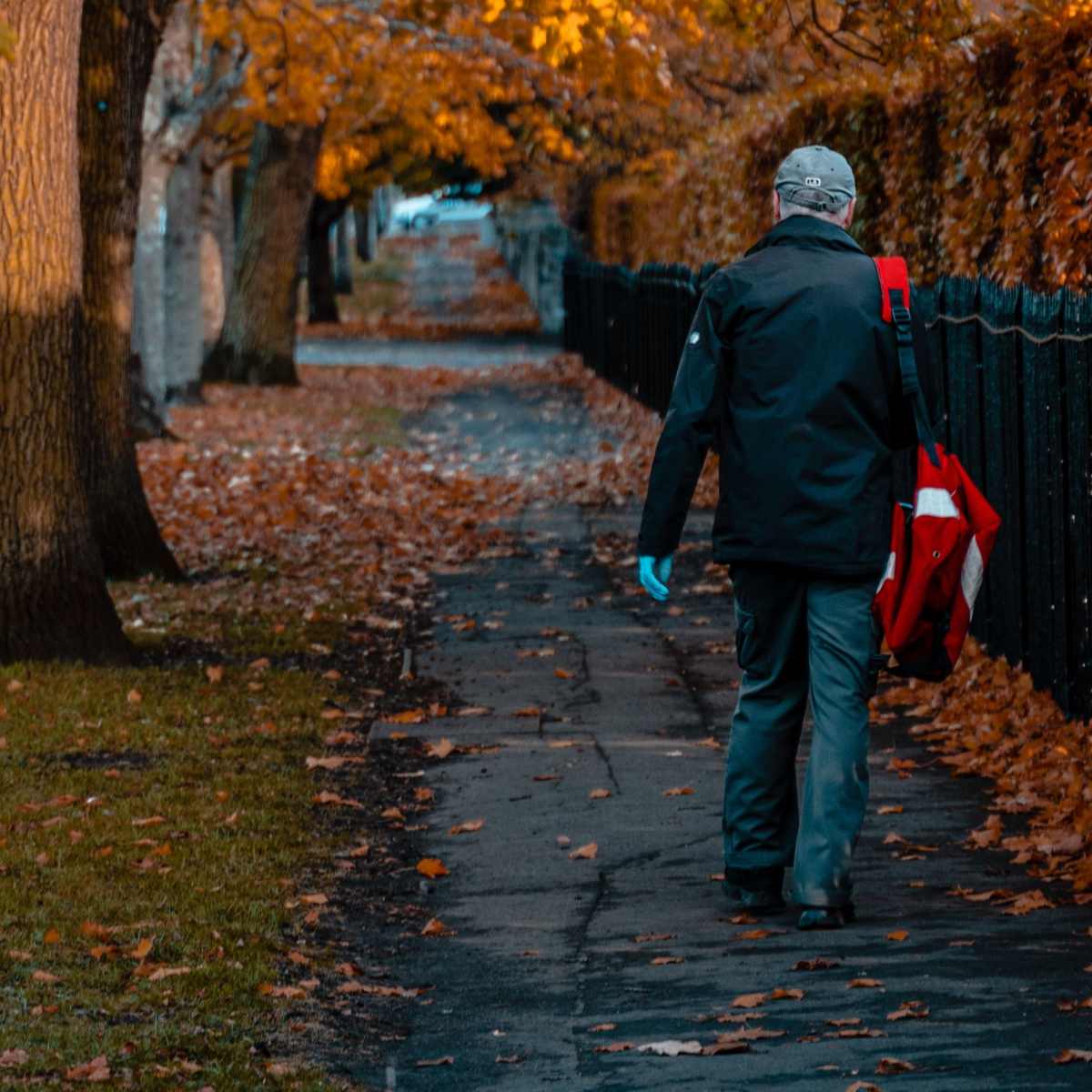 Why Do Dogs Hate Mail Carriers