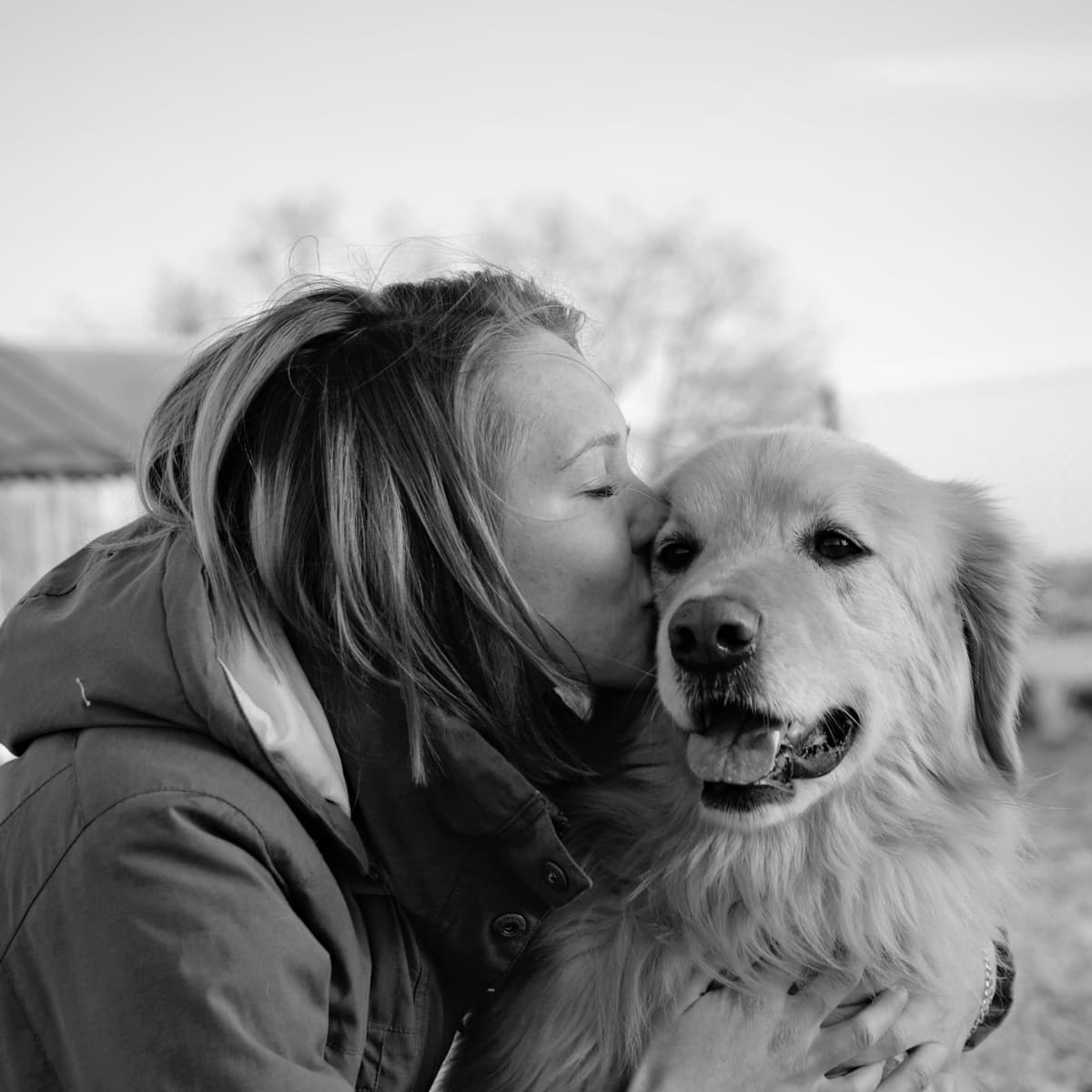 Dog Share Ka Bf Xxx - How to Determine a Dog's Quality of Life - PetHelpful
