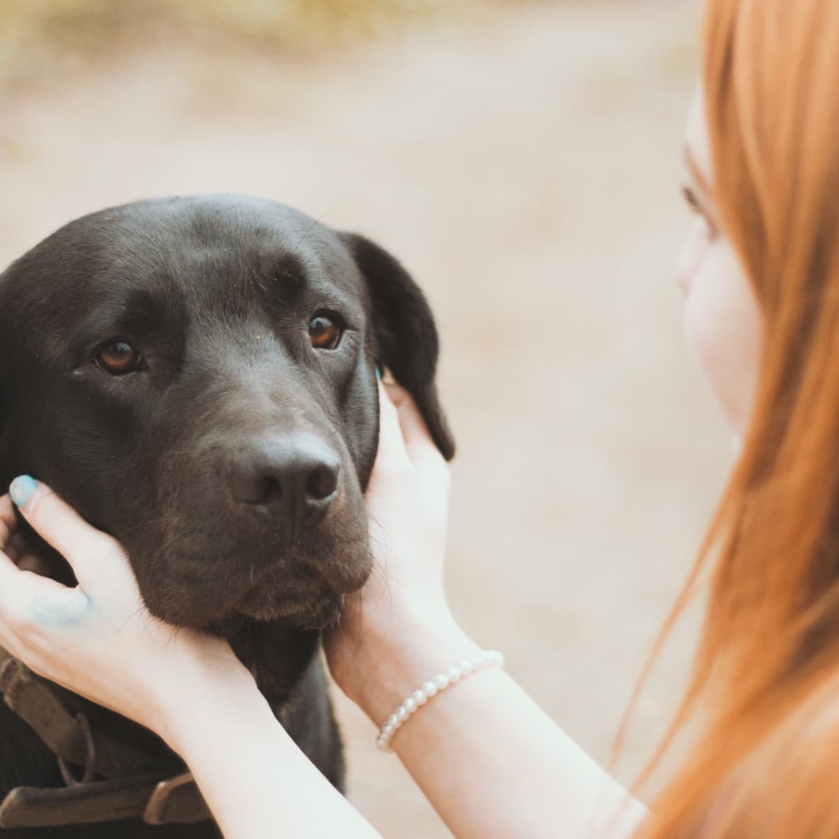 can dog dander make you sick