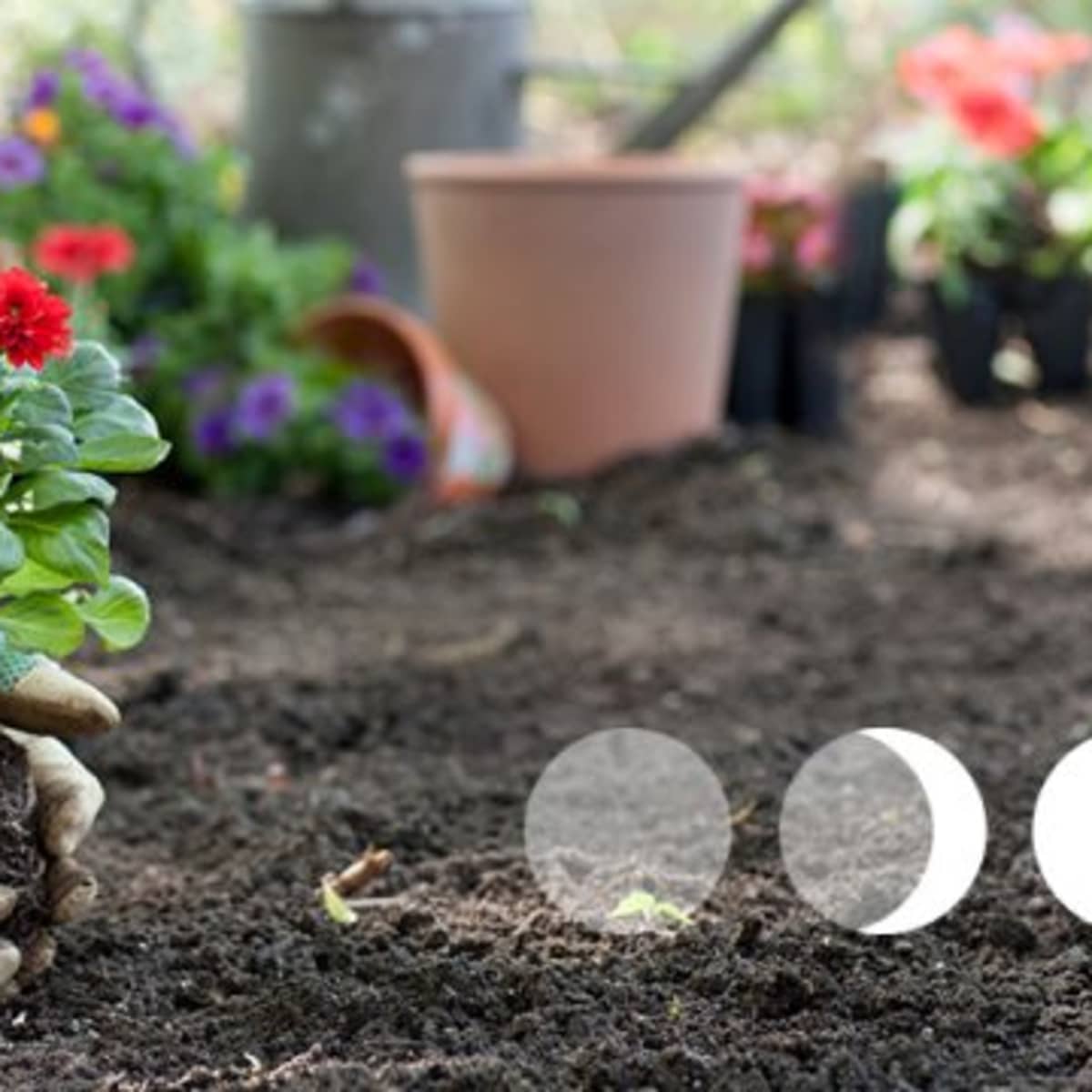 The Science Behind Moon Phase Gardening – Roger's Gardens