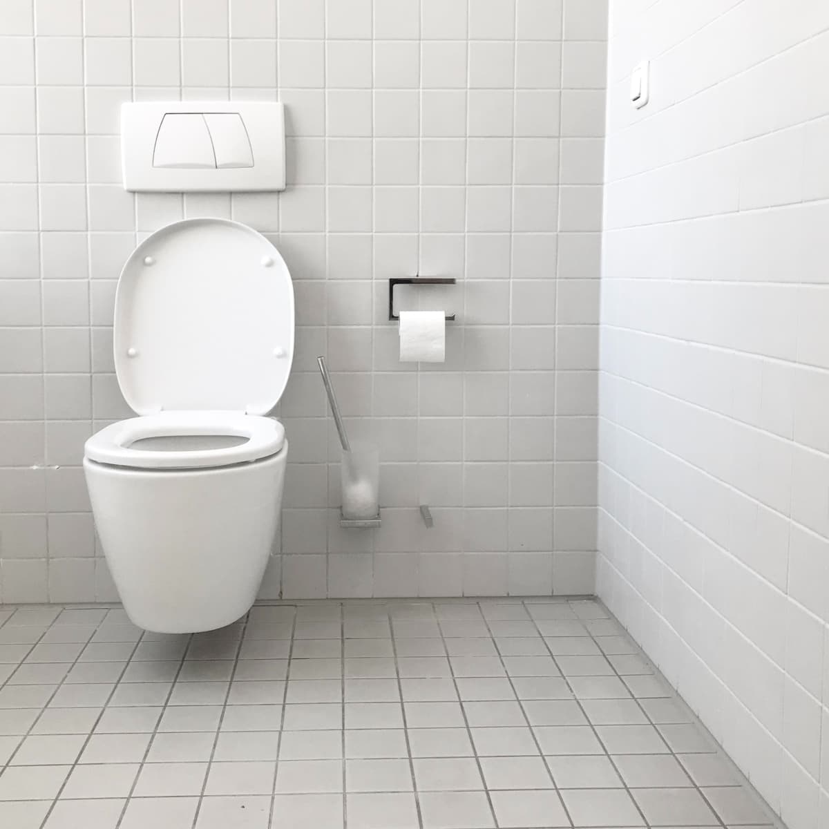 How to Replace a Toilet Seat – Fix it in 15