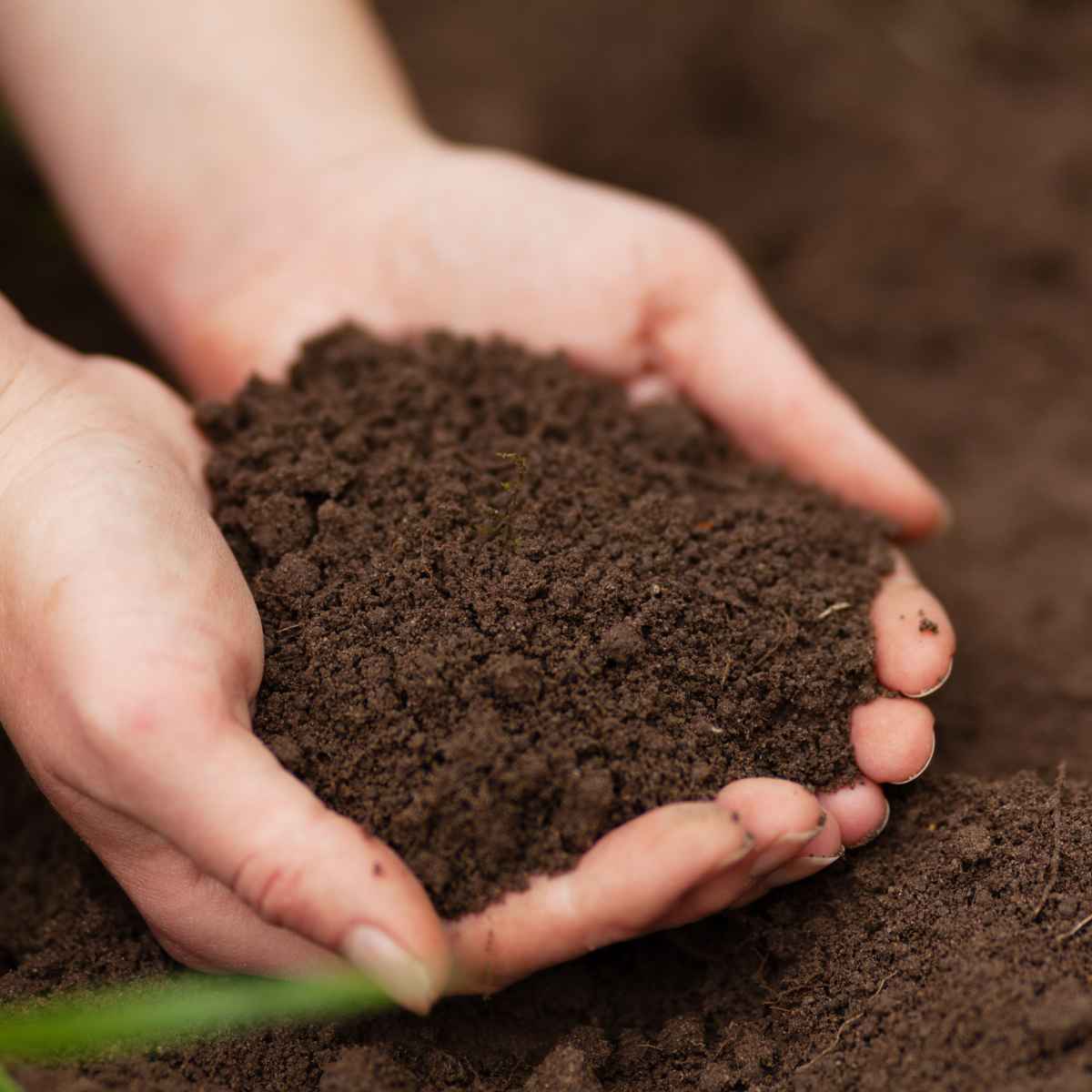How to Prepare Garden Soil for Planting - Dengarden