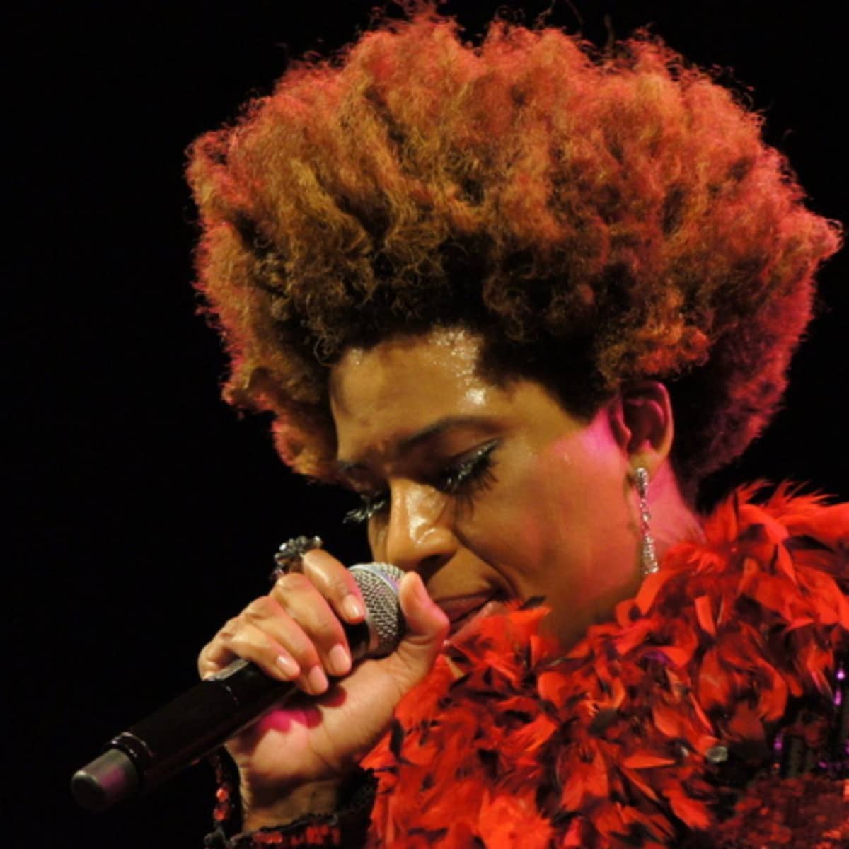 Famous African American Female Singers With Natural Hair - Bellatory