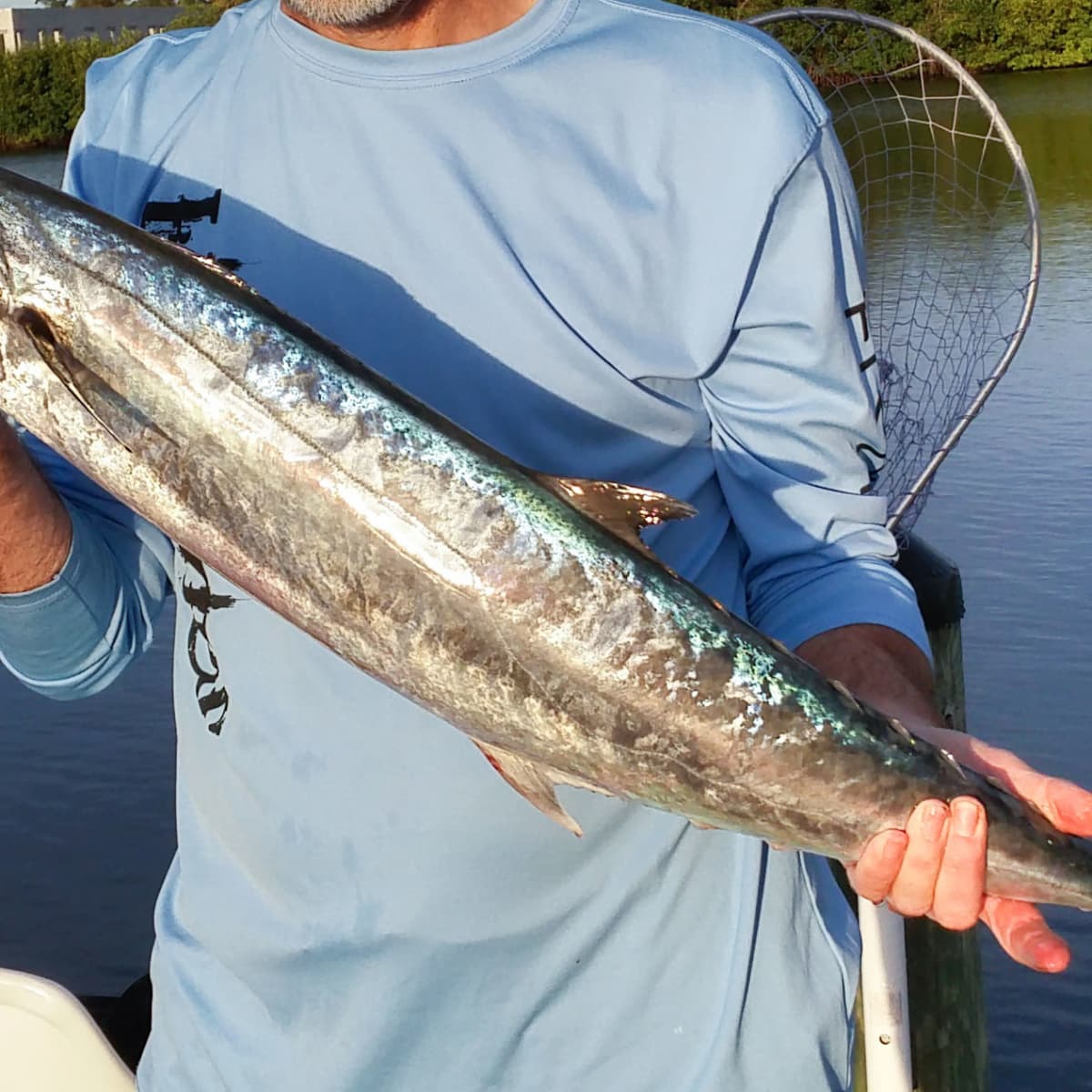 How to Catch King Mackerel (Tackle, Rigs, and More) - SkyAboveUs