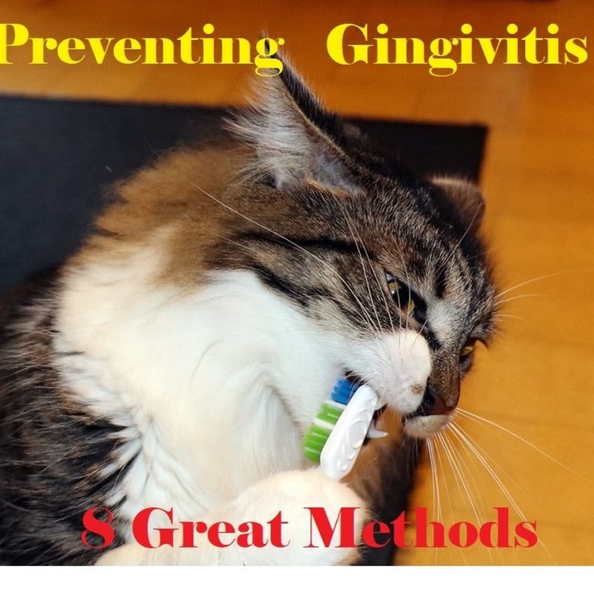 cat toothpaste for gingivitis