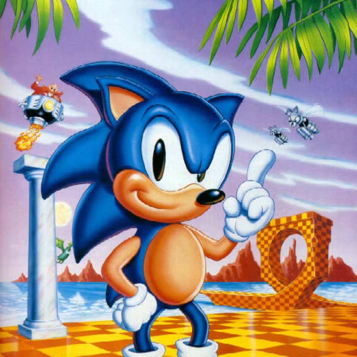 Sonic R, Sonic Classic Collection, sega, sonic The Hedgehog, Sonic, animal  Figure, Fan art, video Game, wing, artwork