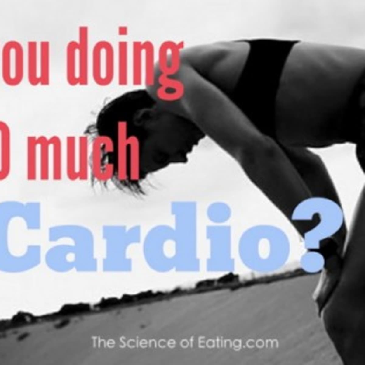 Upper Body Cardio Exercises: Lose Fat And Increase Muscle Strength -  HubPages