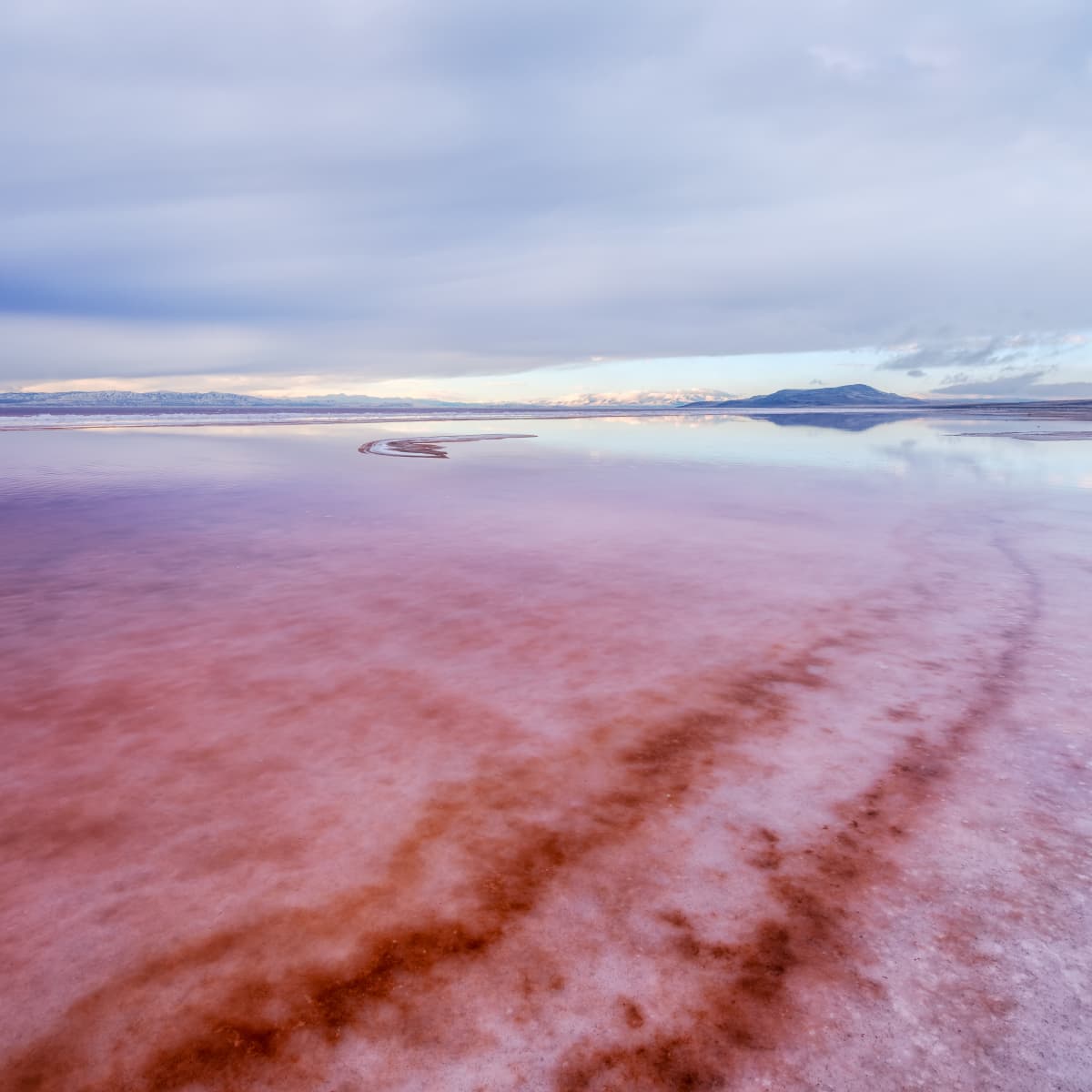 Video of Pink Water at Great Salt Lake in Utah Is Pretty Impressive -  WanderWisdom News