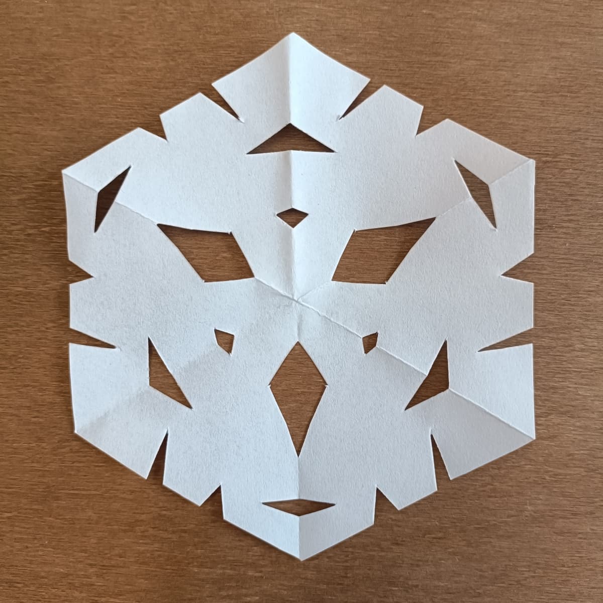 How to Make a Mathematical Paper Snowflake (Christmas Crafts