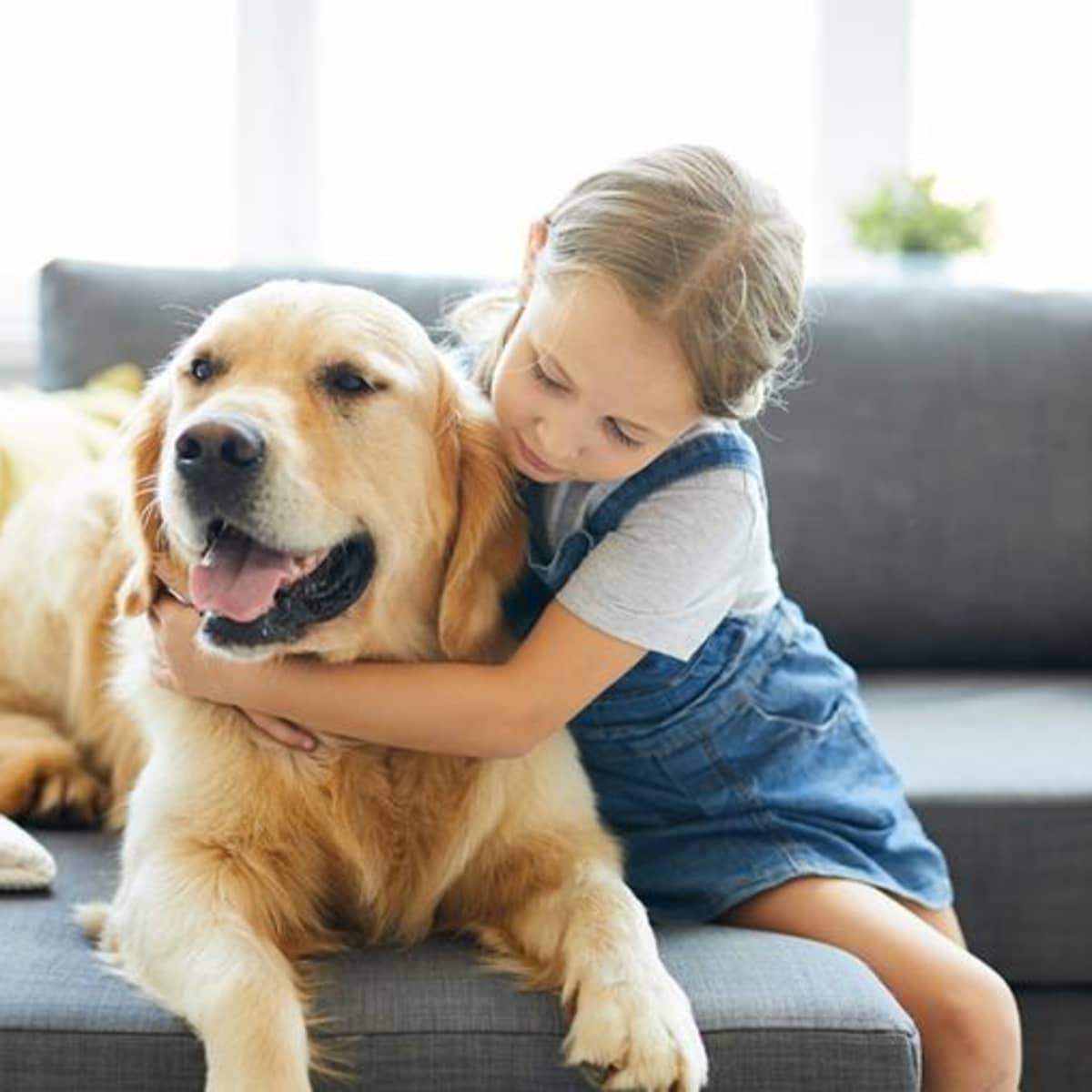 what is the best dog for a small child