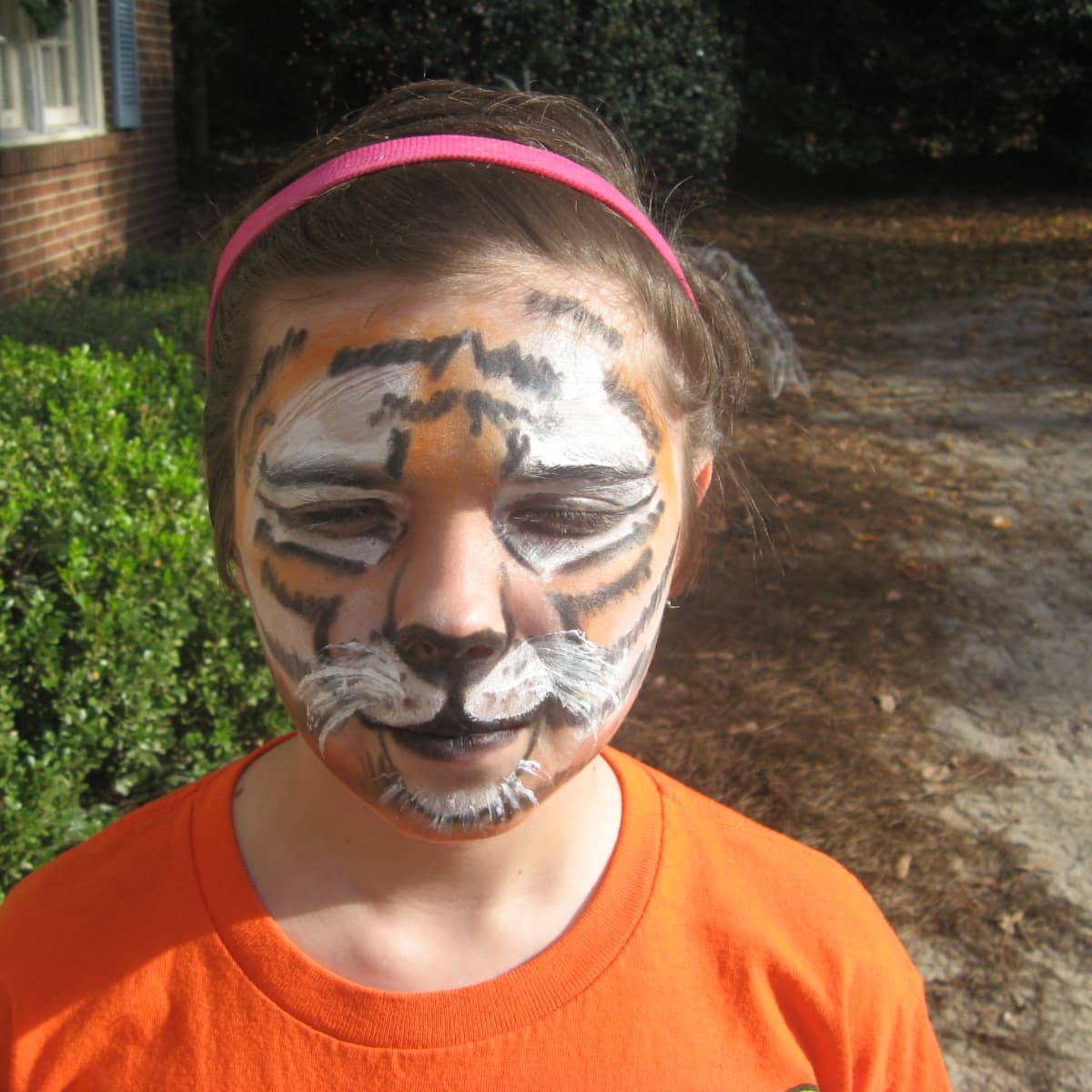 How to do Face Painting Cheek Art - HubPages
