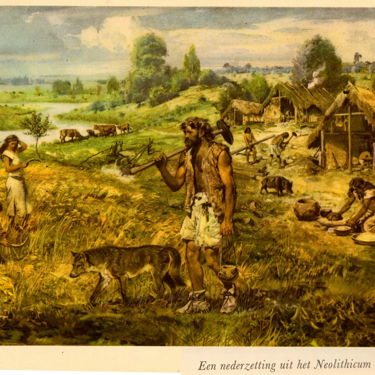 neolithic revolution domestication of animals