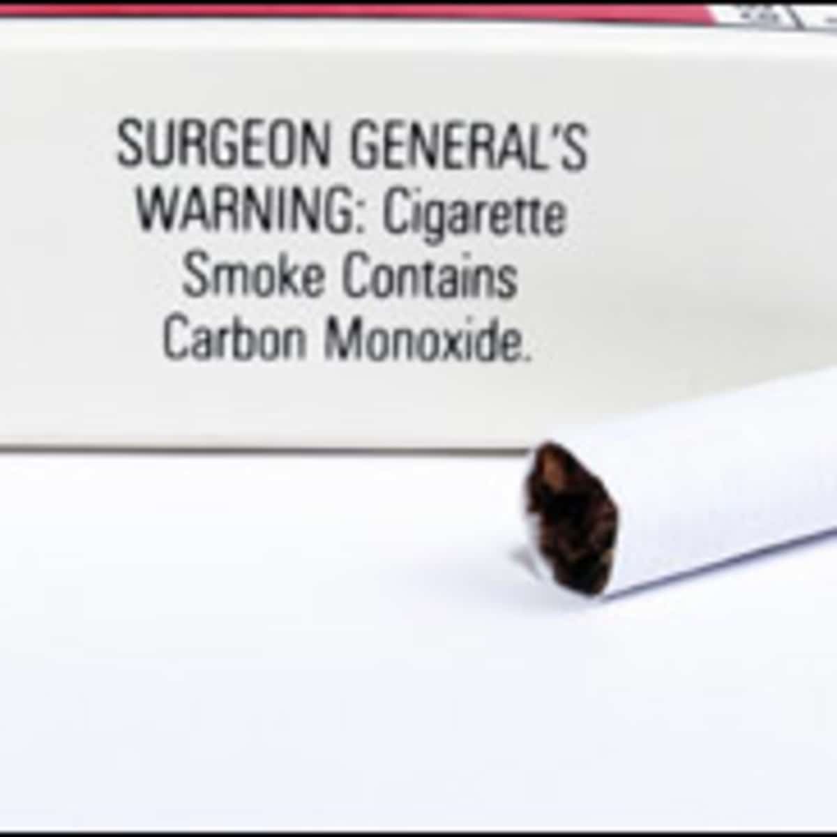can dogs be around cigarette smoke Passive Smoking & Dogs