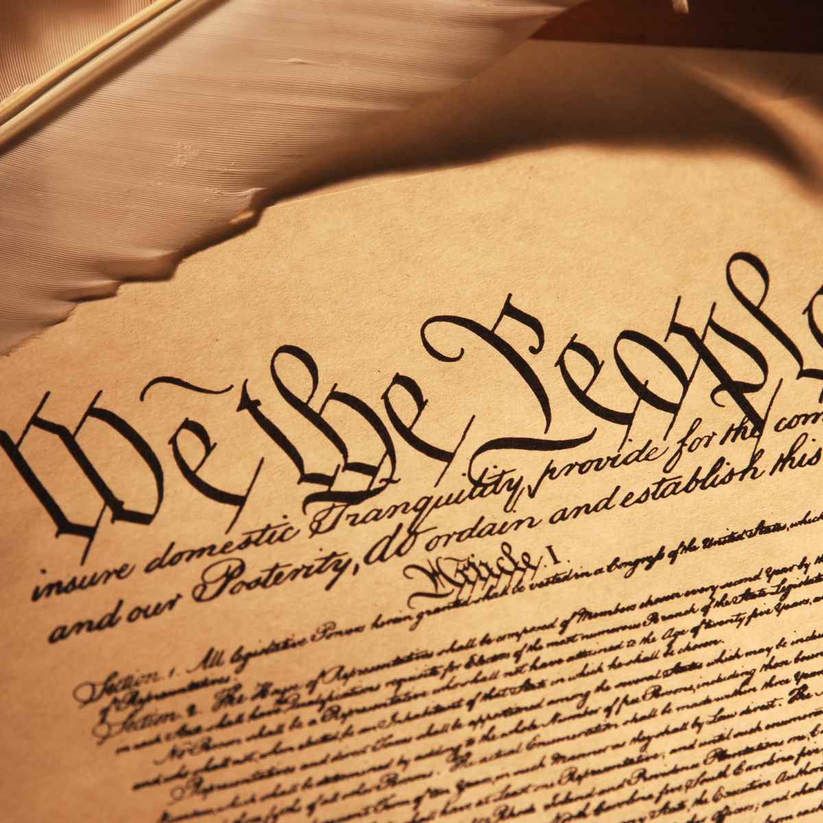 Pictures Of Preamble To The Constitution