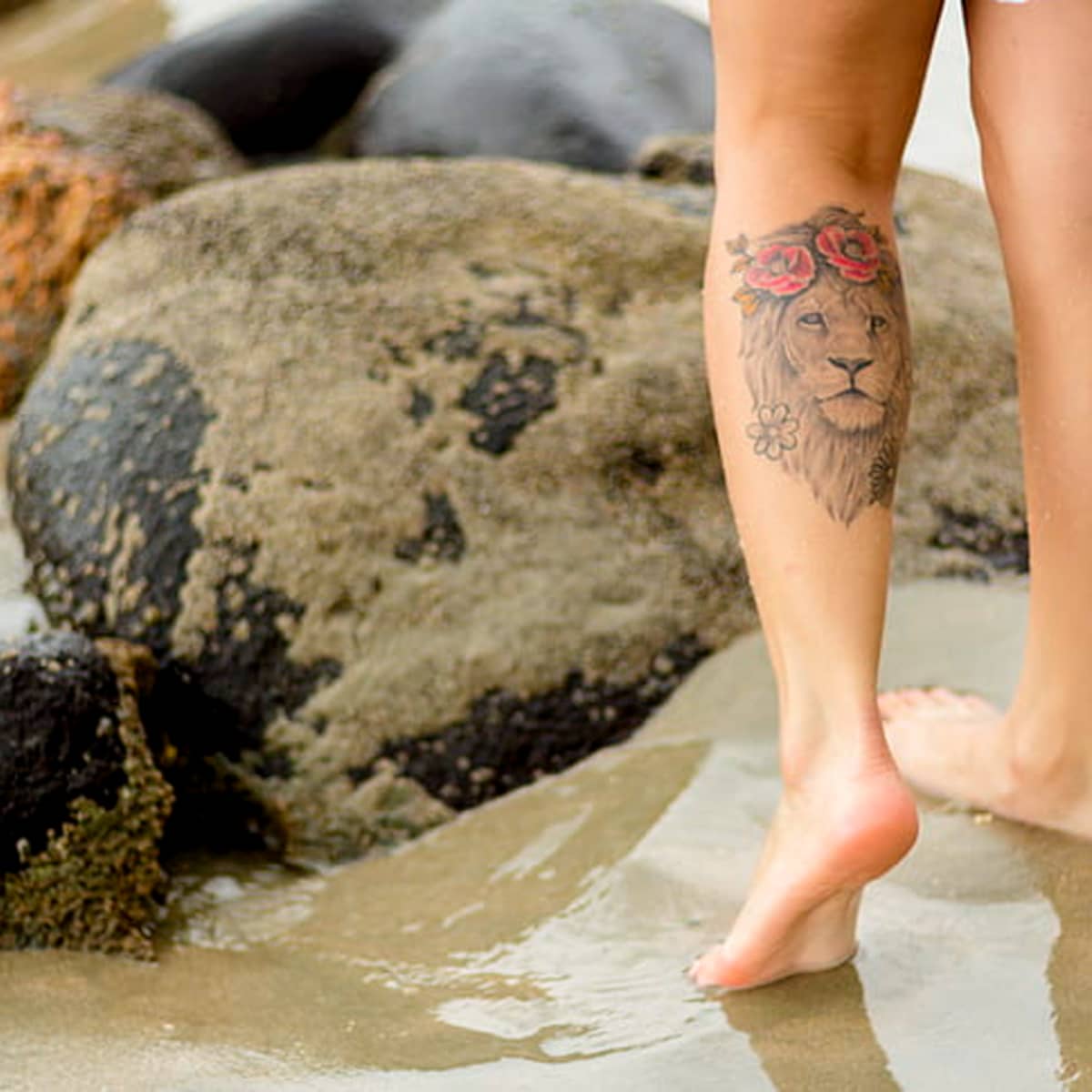 The Roaring Symbolism of Lion Tattoo Designs What Does a Lion Tattoo Mean   Impeccable Nest
