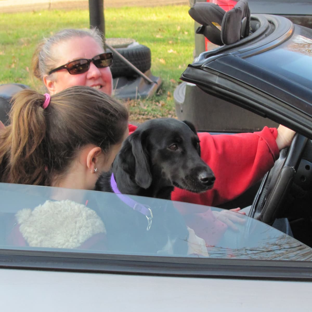 Dog takes owner for ride in dog cart 