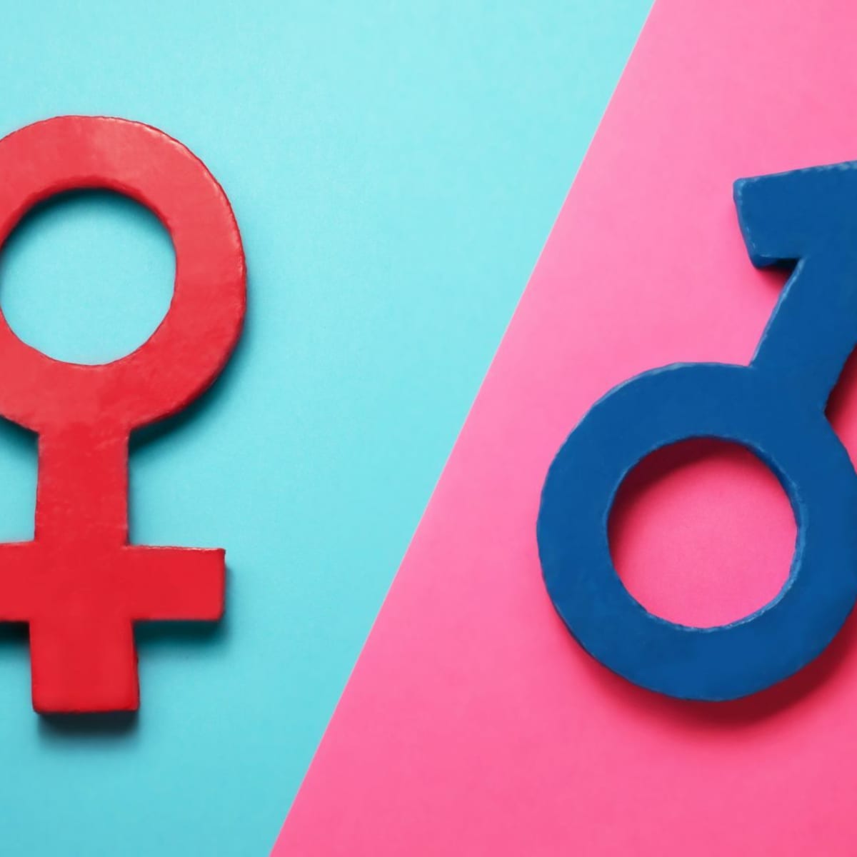 The Biological Explanation for Gender Differences - Owlcation