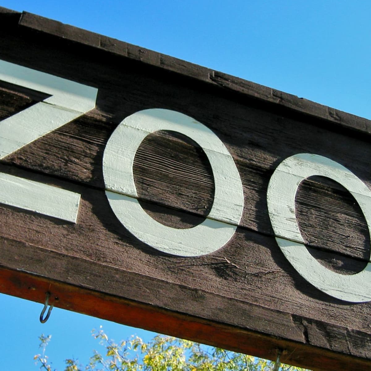 31 Best Zoos to Visit in the United States - WanderWisdom