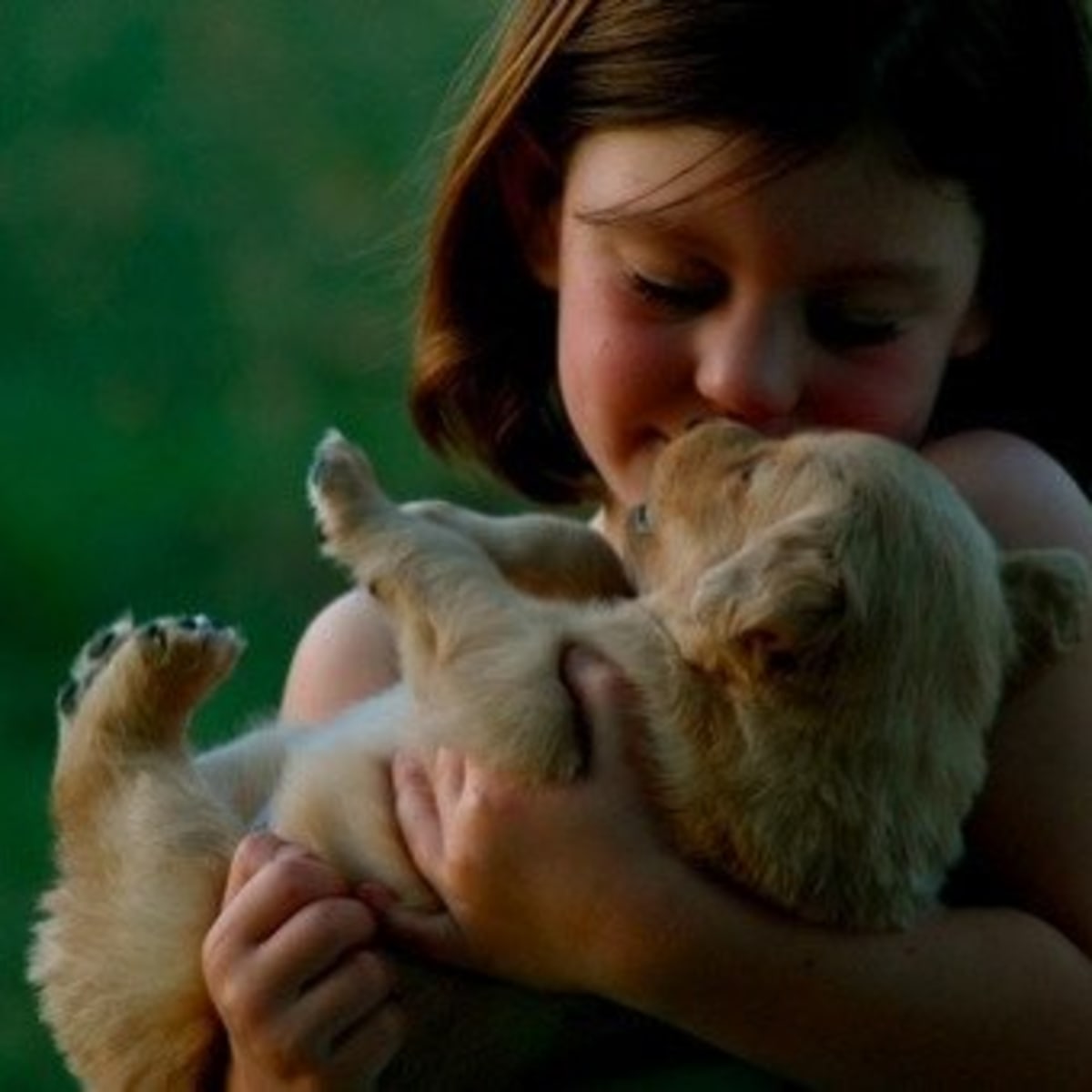 Names For Golden Retrievers Pethelpful By Fellow Animal Lovers And Experts