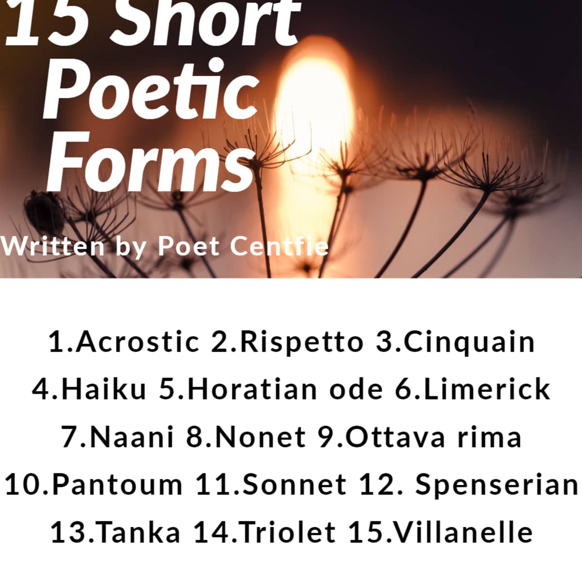 15 Types Of Short Poetic Forms With Examples Owlcation Education