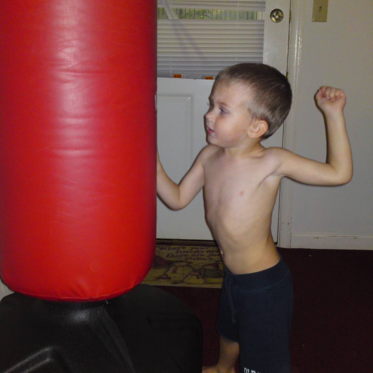 wavemaster standing punching bag