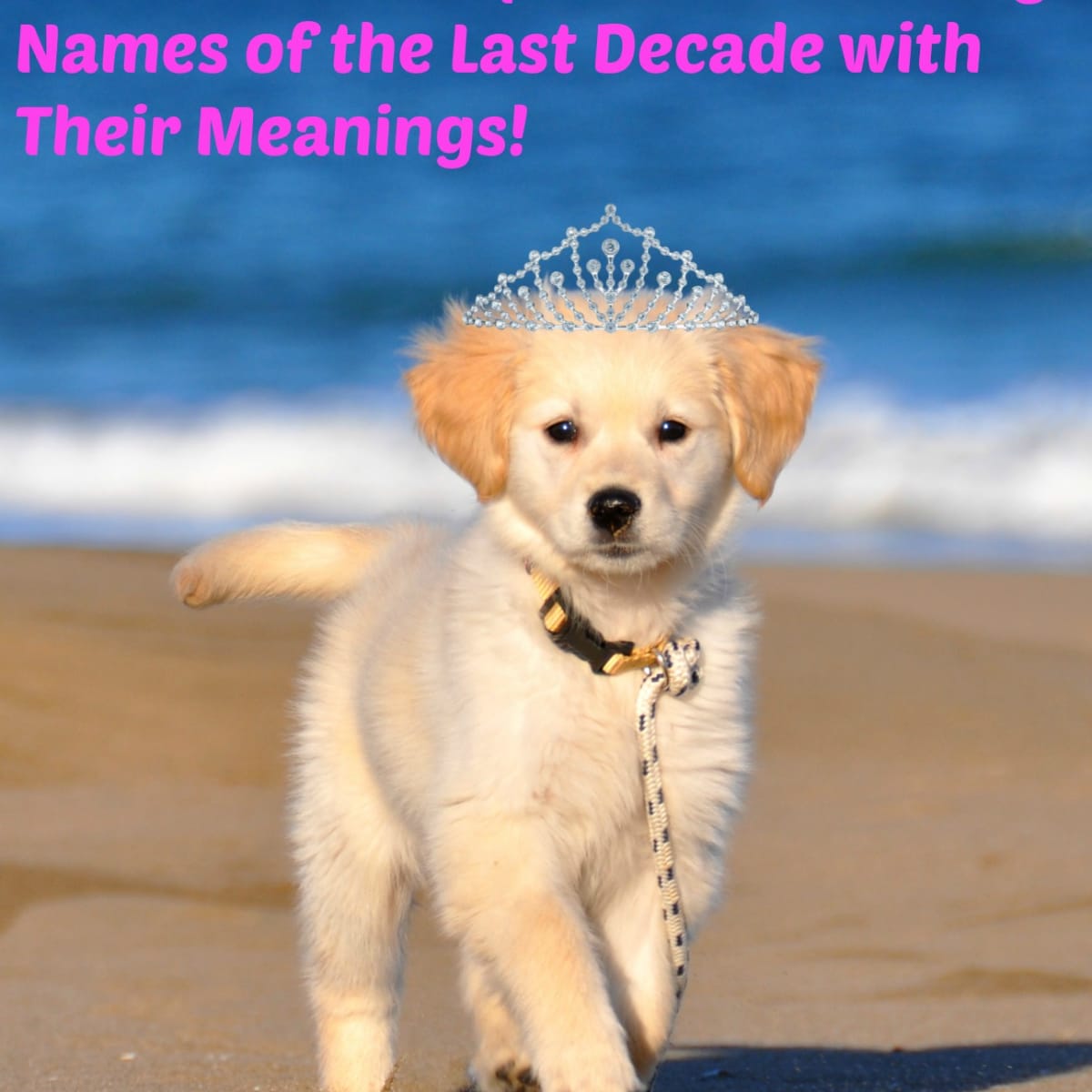 oakley dog name meaning
