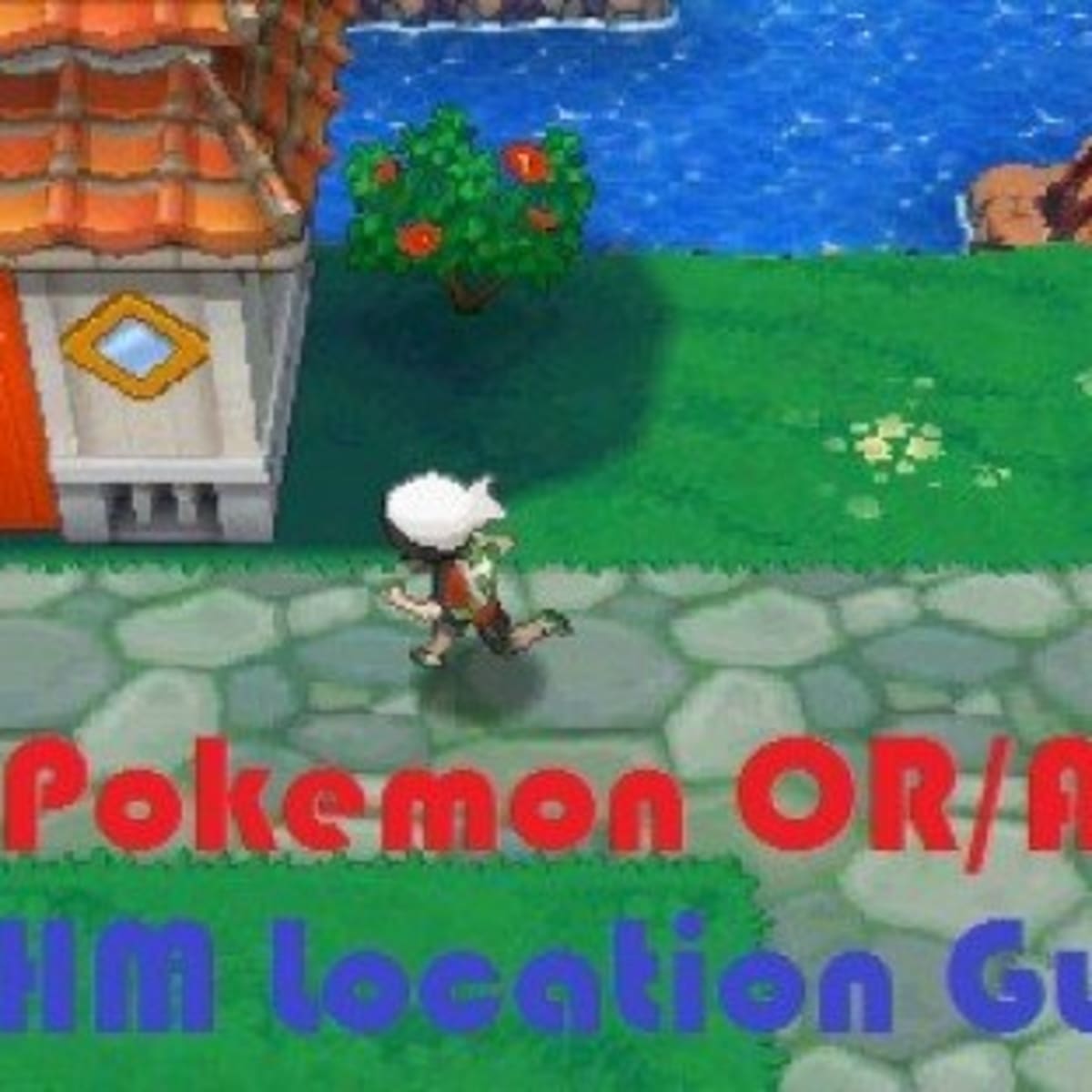 Pokemon Omega Ruby And Alpha Sapphire Tm And Hm Location Guide Levelskip