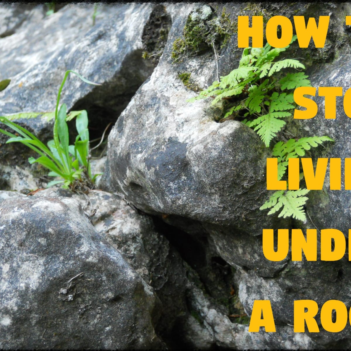 How To Stop Living Under A Rock Letterpile Writing And Literature