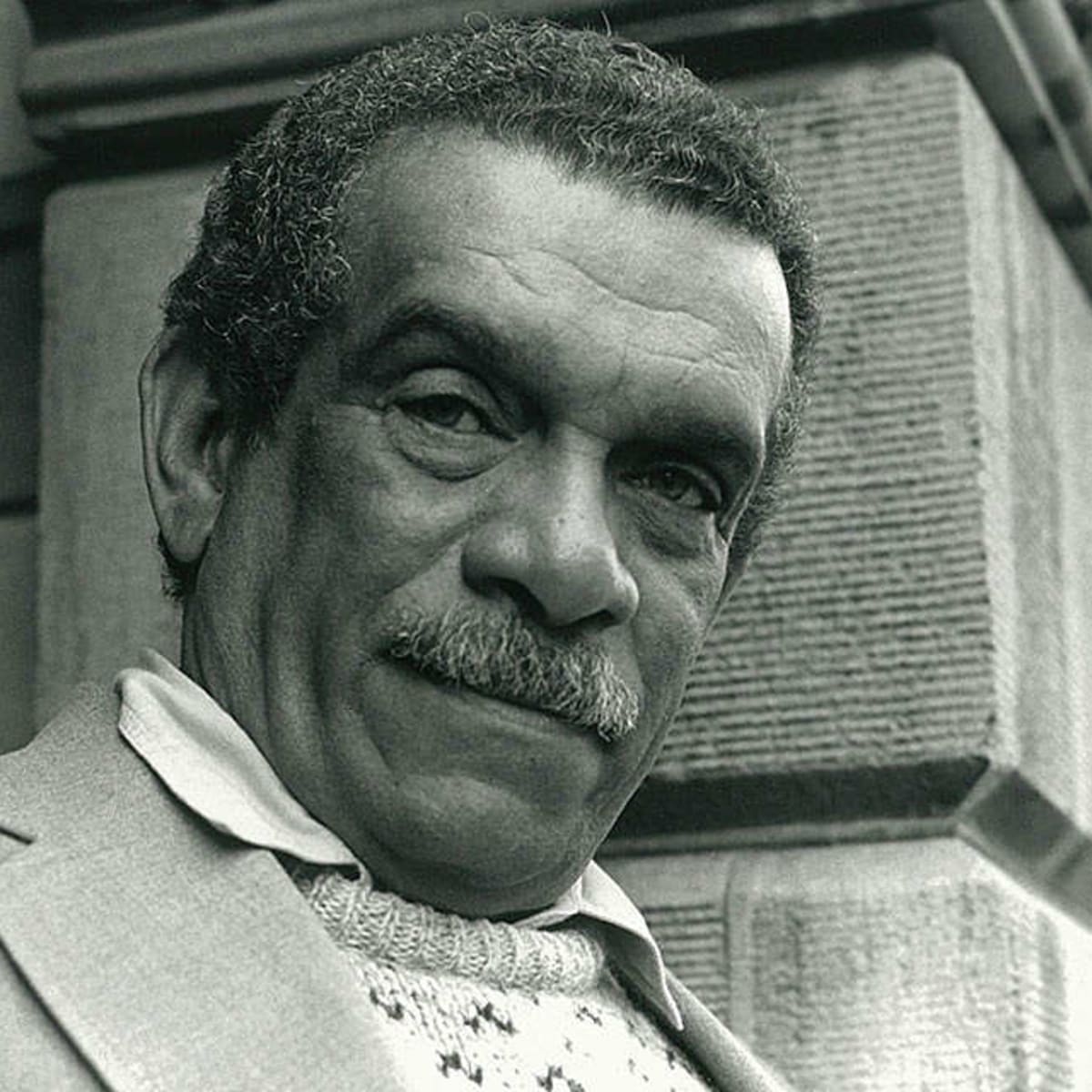 Analysis Of Poem A Far Cry From Africa By Derek Walcott Owlcation Education