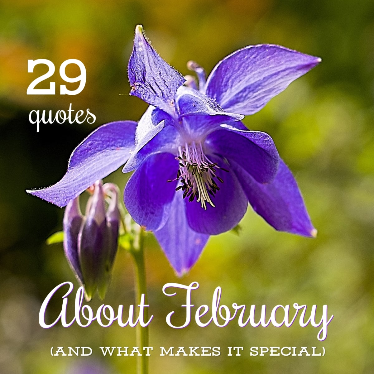 February Quotes And Sayings For Calendars - February 2019 Printable