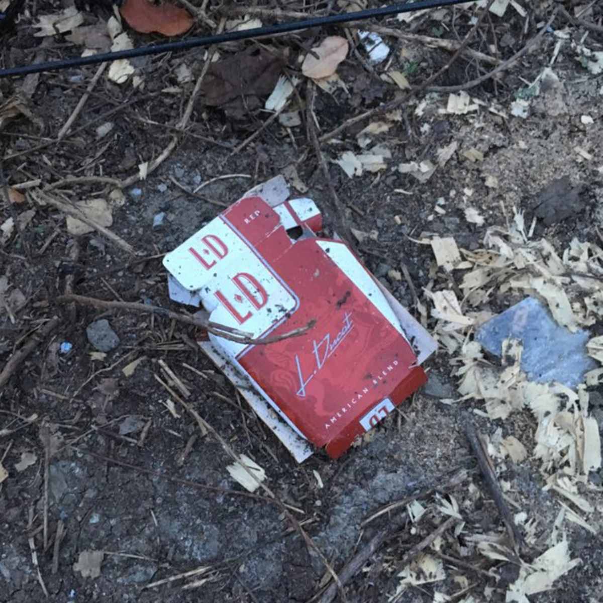 are cigarettes considered litter Cigarettes are the most littered