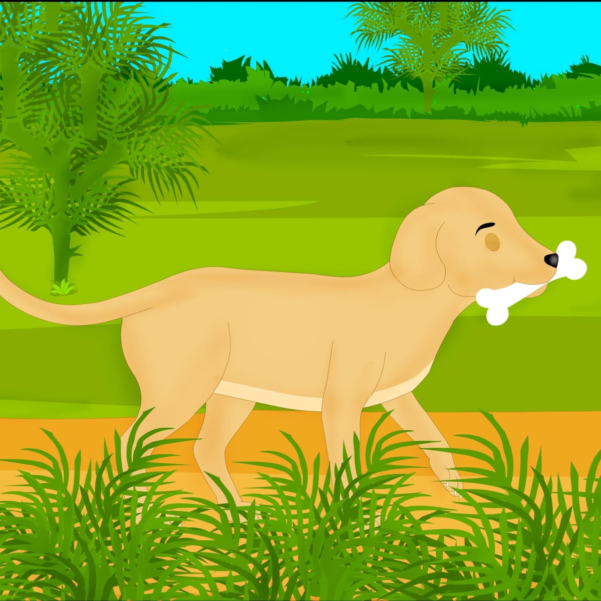 the greedy dog and the bone