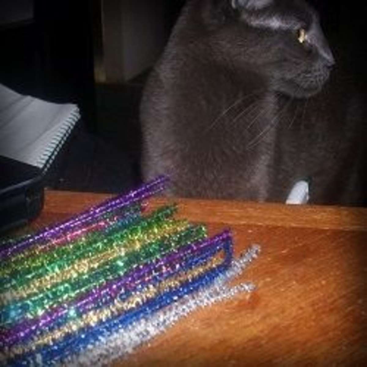 pipe cleaner cat toy