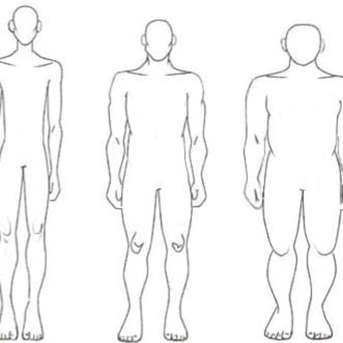 Human types. Plain Shape фигура. Male body Shapes. Human Figure by Shapes. Body Size.