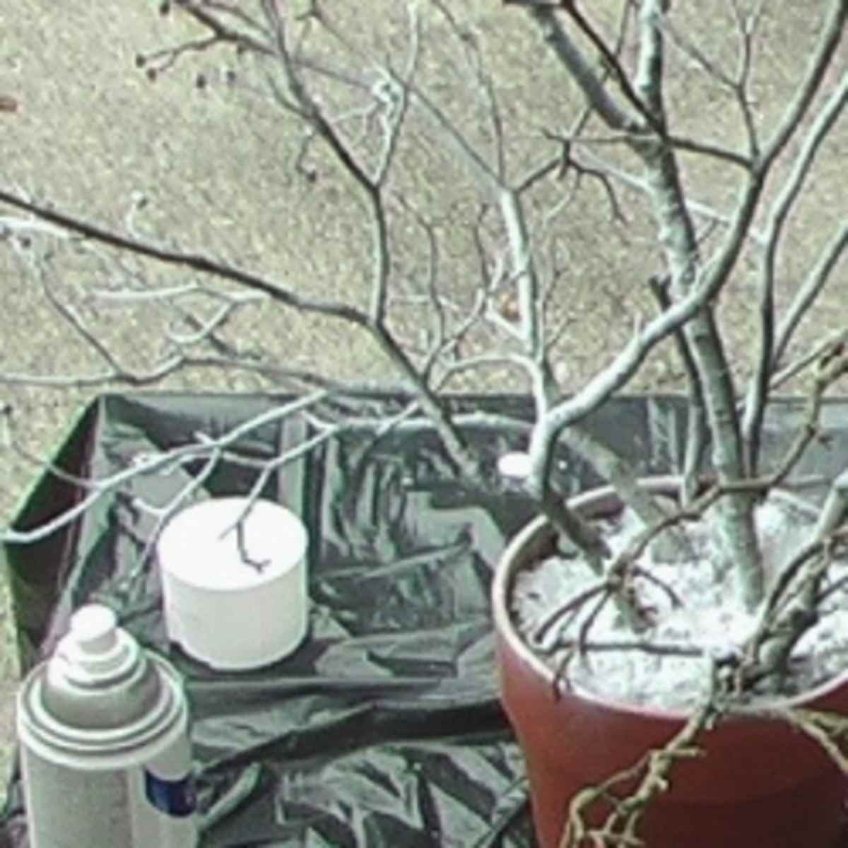 How to Make a Gift Money Tree - HubPages