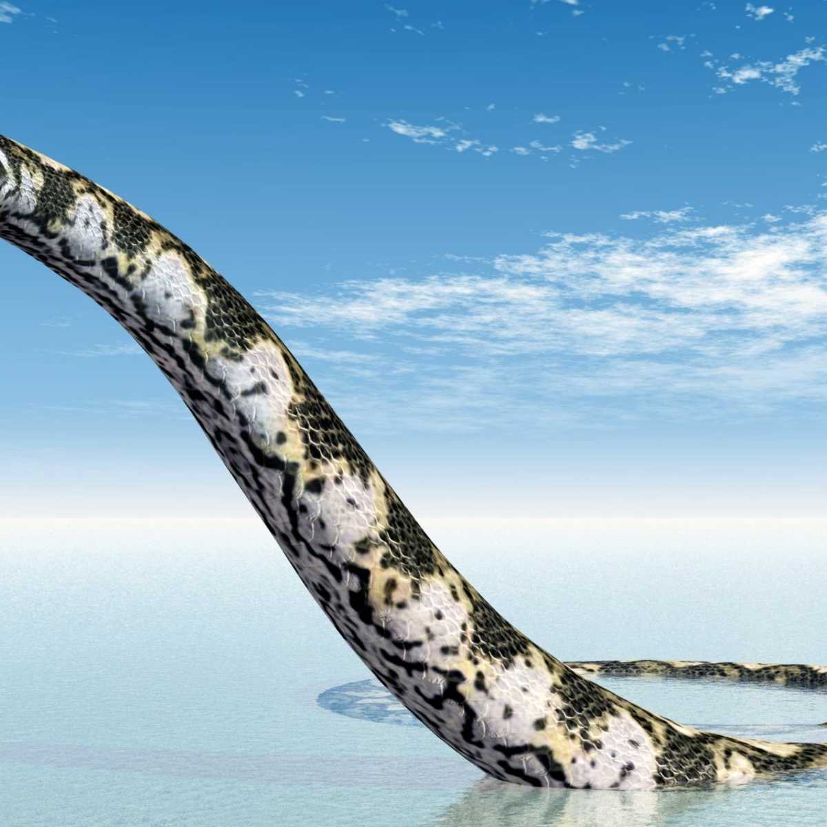 11 Monsters, Mythical Creatures, and Cryptids of South America - HubPages