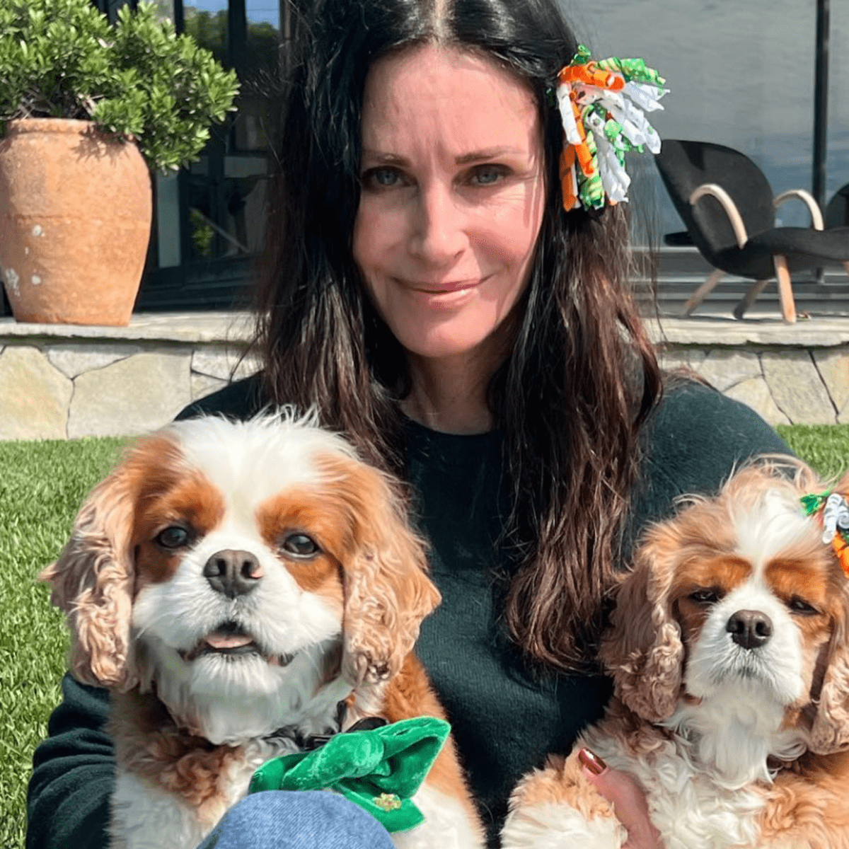 Courteney Cox Tests To See if Her Dogs Bear and Lily Are Smart — And the  Results Are Hilarious - ReelRundown