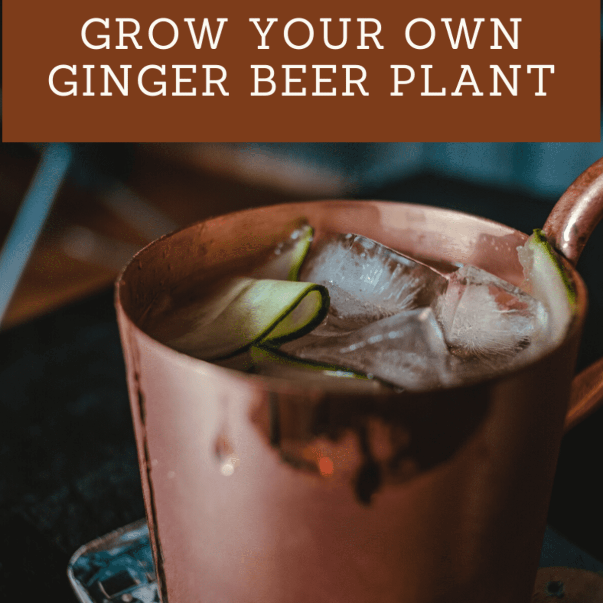 to Grow Your Own Ginger Plant