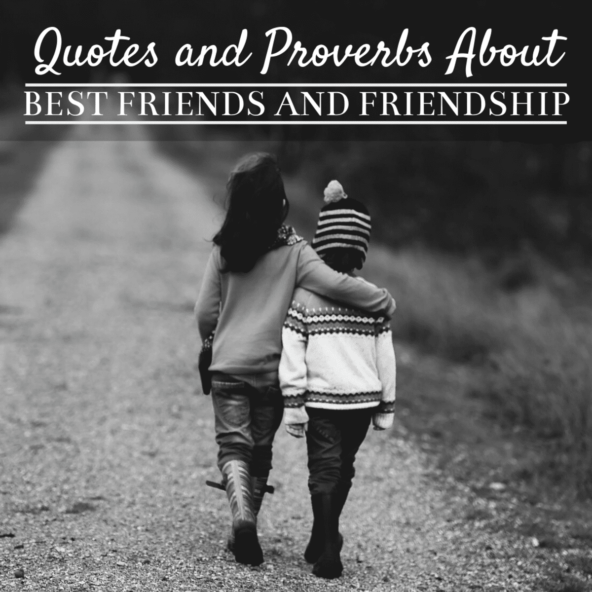 Best Friends: Quotes, Sayings, and Proverbs About Friendship - Holidappy