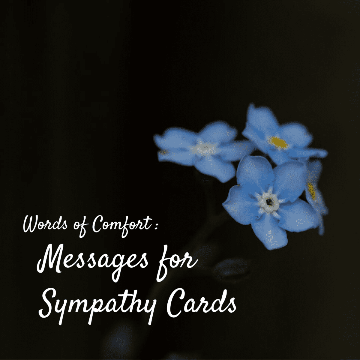 Beautifully Worded On The Sad Loss Of Your Daughter Sympathy Card