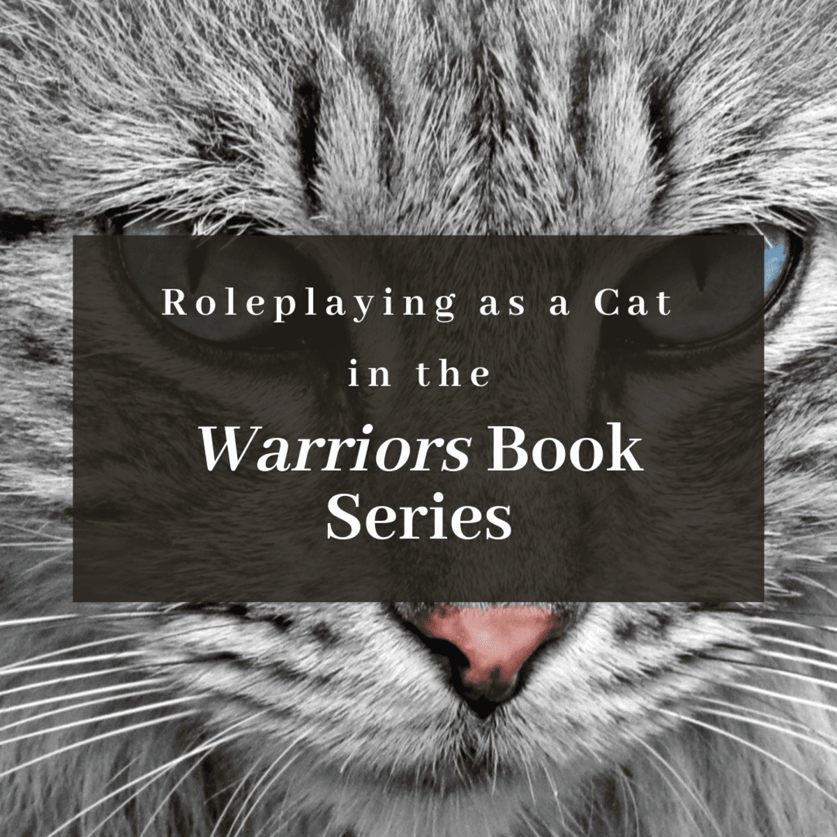 How To Roleplay As A Warrior Cat From The Warriors Book Series Hobbylark - how to make rows in rp names roblox