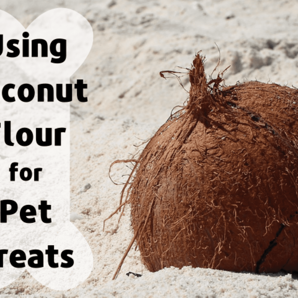 is pea flour safe for dogs