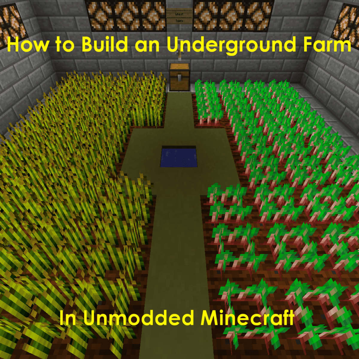 5 best food to farm in Minecraft
