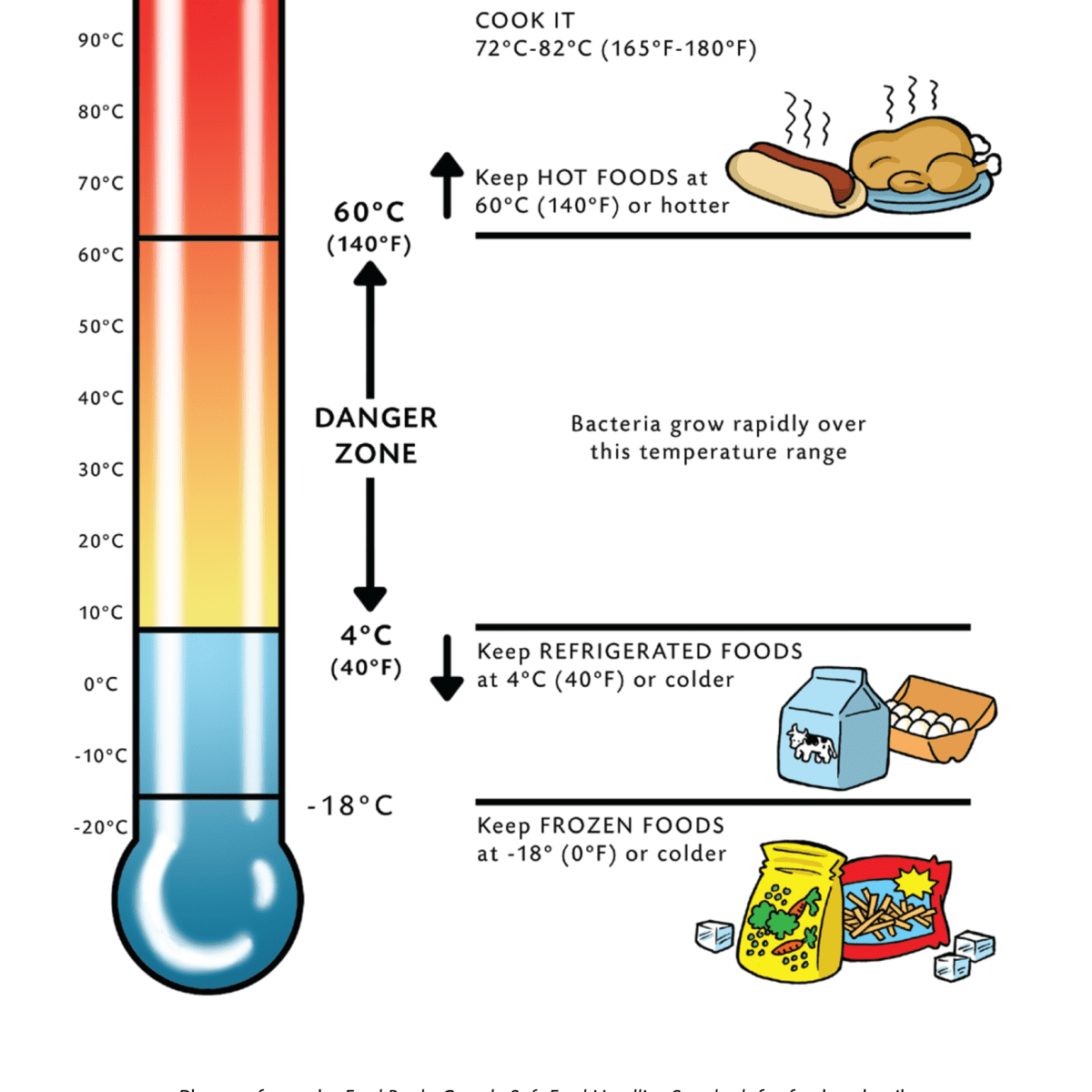 Food Safety 101: Proper Cooking Temperatures