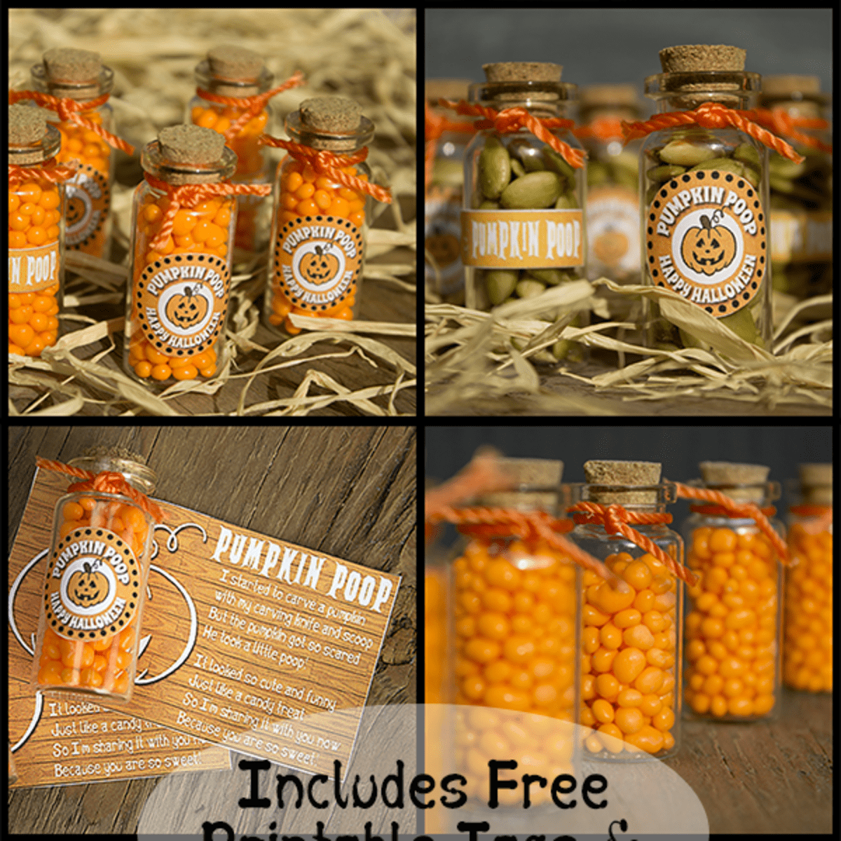 Pumpkin Poop In A Jar Craft Project And Printable Poem Holidappy
